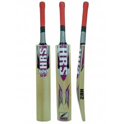 HRS 100 Up Kashmir Willow Cricket Bat